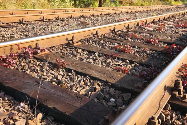 Rail Road Tracks - outdoor — Stock Photo, Image