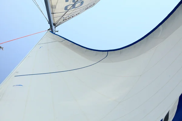 Sail and the sea sport — Stock Photo, Image