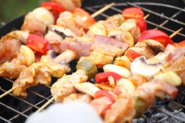 Hoguera fogata fuego llamas asar carne barbacoa — Foto de Stock