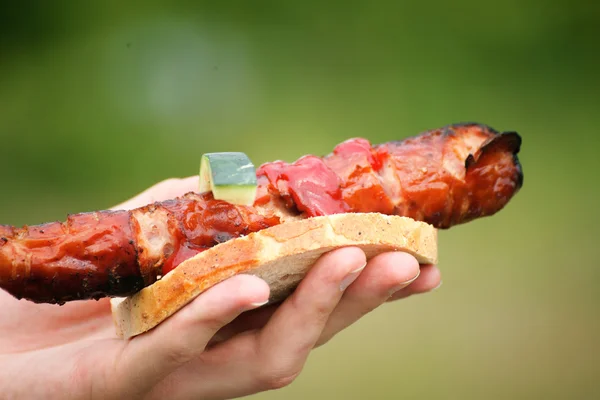 Bonfire lägereld eld lågor grillning steak bbq — Stockfoto