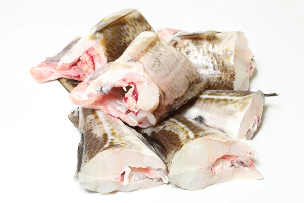 Cod fish - fish fillets — Stock Photo, Image