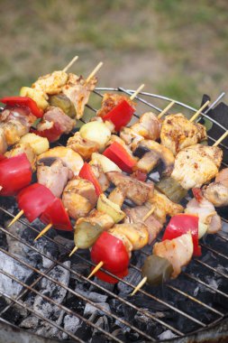 şenlik ateşi kamp ateşi yangın alevleri Steak Barbekü Izgara