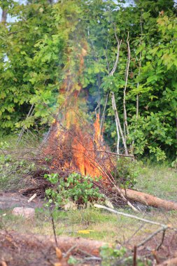 şenlik ateşi kamp ateşi yaz orman