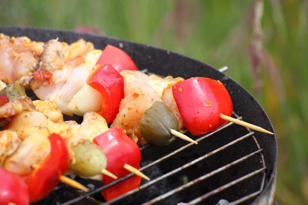 Bonfire campfire fire Flames grilling steak BBQ — Stock Photo, Image