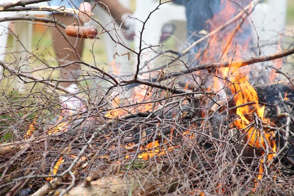 Bonfire campfire fire Flames grilling steak BBQ — Stock Photo, Image