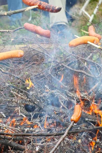 Hoguera fogata fuego llamas asar carne barbacoa — Foto de Stock
