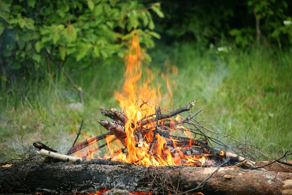 Bonfire campfire fire summer forest nature fire — Stock Photo, Image