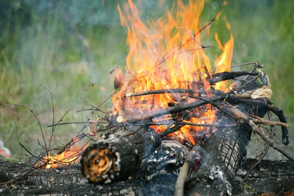 Feu de camp feu de camp été feu de forêt nature — Photo