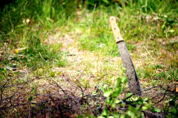 Machete outdoor nature — Stock Photo, Image