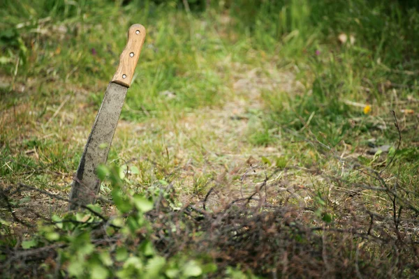 Machete naturaleza al aire libre — Foto de Stock