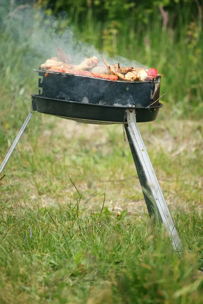 Bonfire campfire fire Flames grilling steak BBQ — Stock Photo, Image