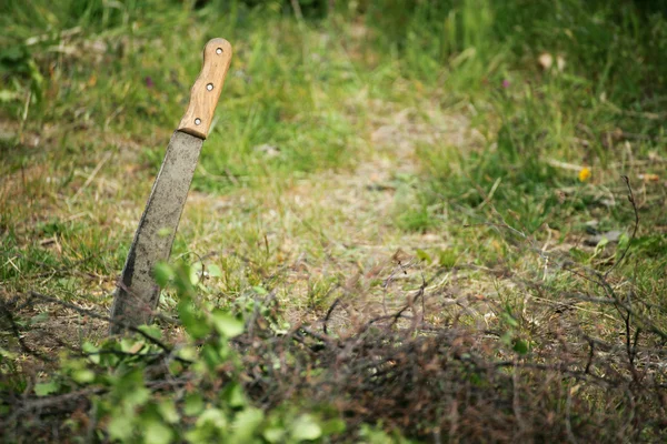 Machete outdoor nature Royalty Free Stock Images