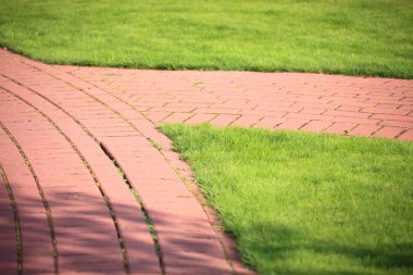 güzel Yeşil çimenler, mükemmel arka plan için kesmek