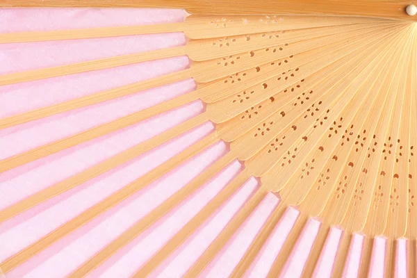 Pink fan — Stock Photo, Image
