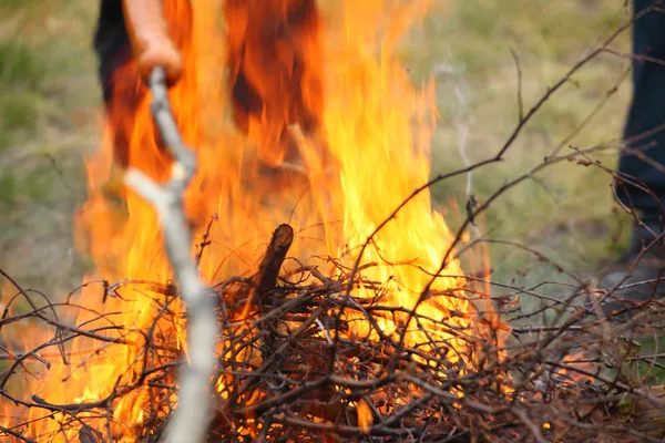 Bonfire lägereld eld lågor grillning steak bbq — Stockfoto