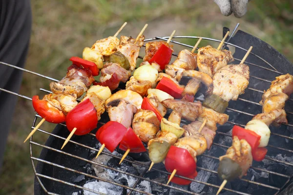 Hoguera fogata fuego llamas asar carne barbacoa — Foto de Stock