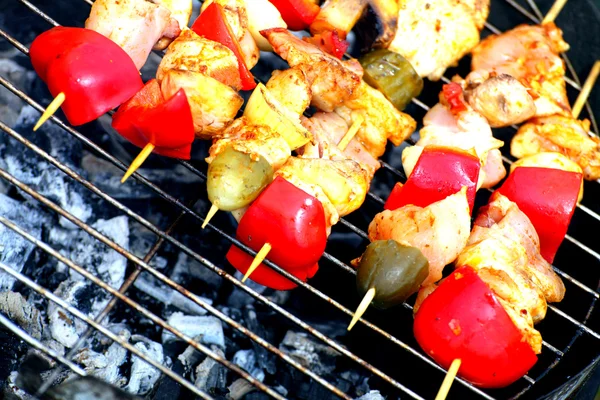 Hoguera fogata fuego llamas asar carne barbacoa — Foto de Stock