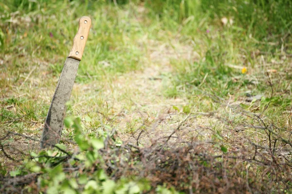 Machete outdoor nature — Stock Photo, Image