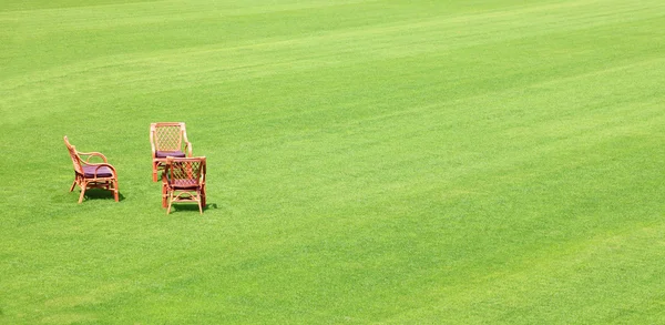 春椅子中間新鮮な芝生 — ストック写真