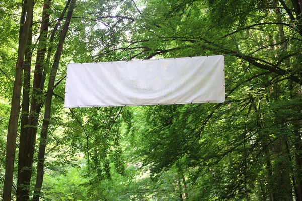 Leere weiße Tafel Banner grüne Bäume — Stockfoto