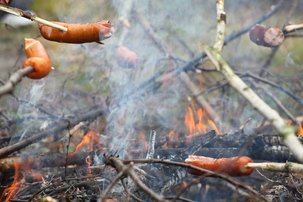 Hoguera fogata fuego llamas asar carne barbacoa —  Fotos de Stock