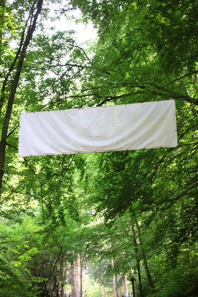 Blank white board banner green trees — Stock Photo, Image