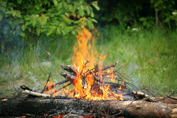 Lagerfeuer Feuer Sommer Wald Natur Feuer — Stockfoto