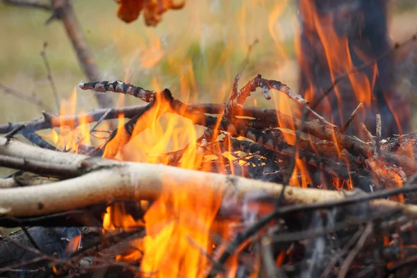 Şenlik ateşi kamp ateşi yangın alevleri Steak Barbekü Izgara — Stok fotoğraf