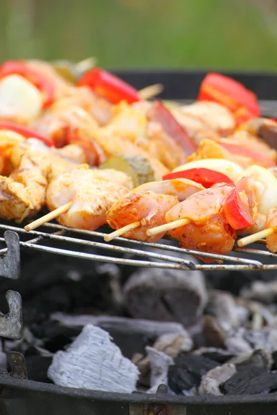 Bonfire campfire fire Flames grilling steak BBQ — Stock Photo, Image