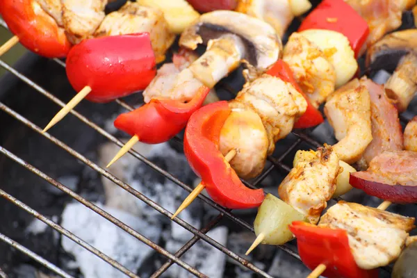 Bonfire campfire fire Flames grilling steak BBQ — Stock Photo, Image