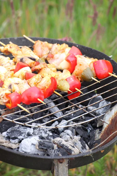 Hoguera fogata fuego llamas asar carne barbacoa —  Fotos de Stock