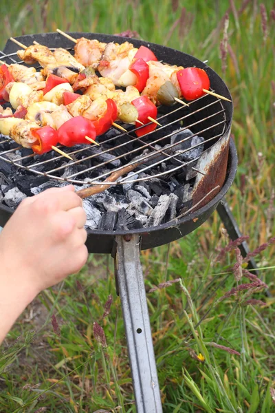 Oheň táboráku palbu plameny grilování steak bbq — Stock fotografie