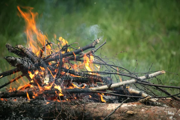 Falò falò fuoco estate foresta natura fuoco — Foto Stock