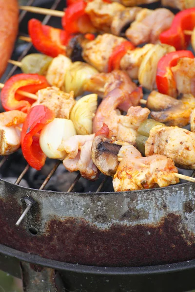 Bonfire campfire fire Flames grilling steak BBQ — Stock Photo, Image