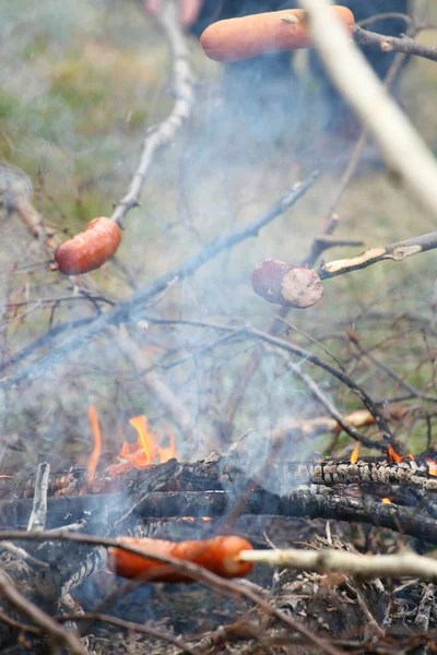 Φωτιά φωτιά φωτιά φλόγες ψήσιμο στη σχάρα μπριζόλα μπάρμπεκιου Εικόνα Αρχείου