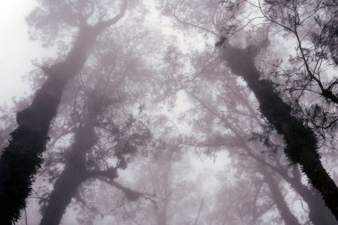 Volkandan inanılmaz bir manzara