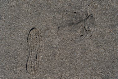 Kumda ayak izleri