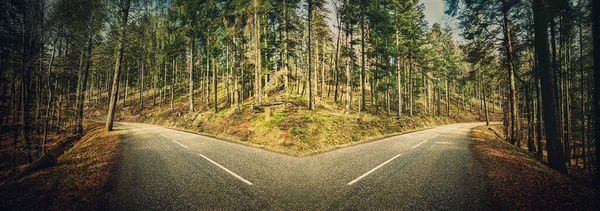 Estrada Asfalto Através Floresta Divide Duas Direções Diferentes Esquerda Direita — Fotografia de Stock