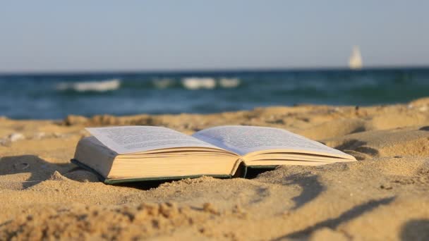 Boek van zand op het strand — Stockvideo