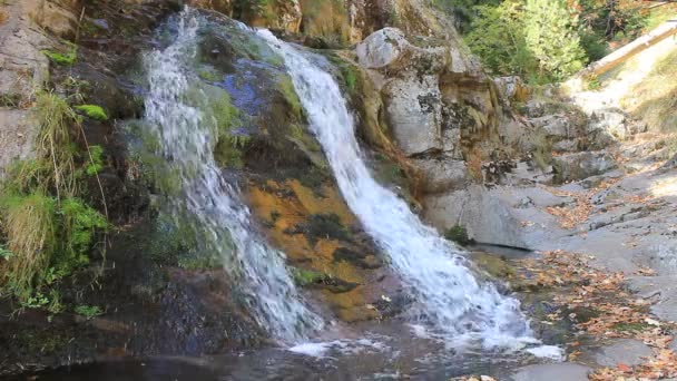 Cascade