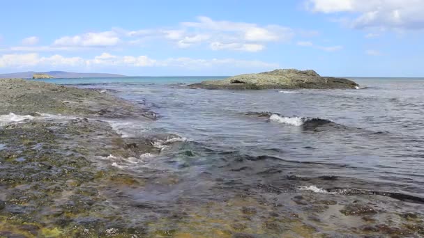 Pequeña roca en la costa — Vídeos de Stock