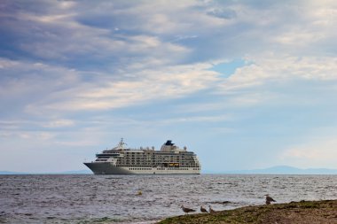 Sahile yakın yolcu gemisi