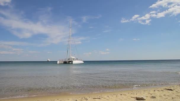 Catamarán cerca de la playa — Vídeo de stock
