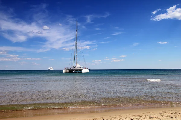 White catamaran near to the beach — Stock Photo, Image