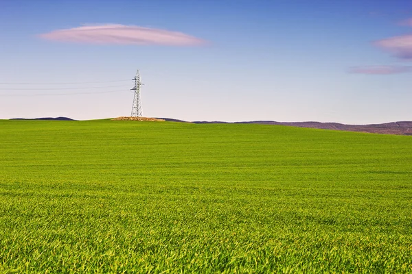 Wheat field valley — Stock Photo, Image