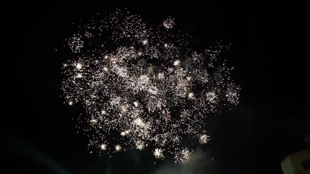 Fogos de artifício — Vídeo de Stock