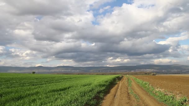 Грязная дорога и пшеница поля — стоковое видео