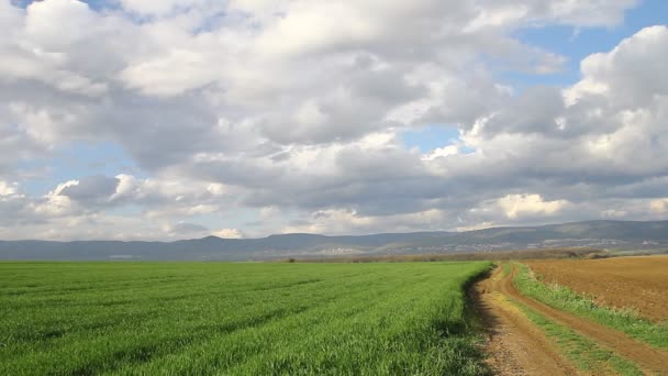 Χωματόδρομος και σιτάρι του πεδίου — Αρχείο Βίντεο