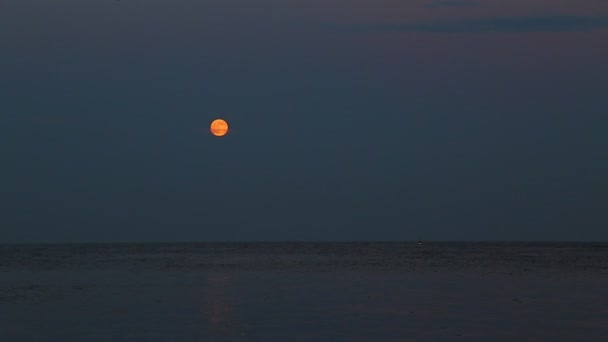 Red powerboat and full moon — Stock Video