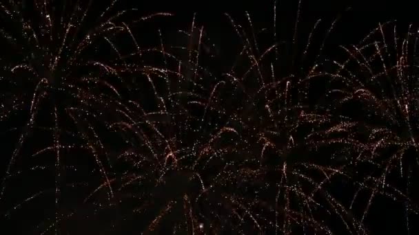 Fuochi d'artificio nel cielo notturno — Video Stock